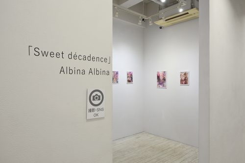 202604_albinaalbina002