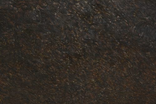 202604_moriryosuke017