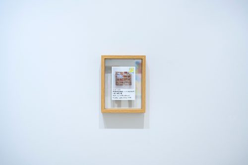 202605_koizumision005