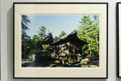 202605_satoyuji008