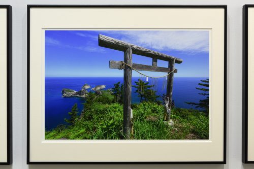 202605_satoyuji021