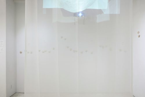 202605_shinoharakana006