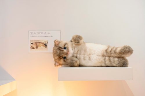 202607_ikimononosekai034