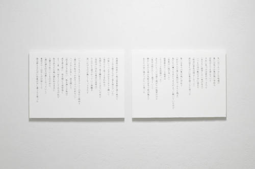 20_02_iwasa013