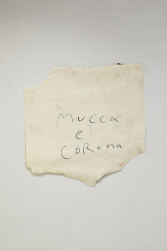 20_05_mucca_e_corona018