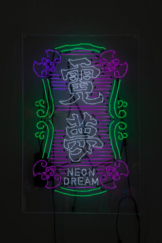 21_04_neondream007